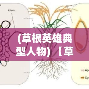 (草根英雄典型人物) 【草根英雄：植物保卫战背后的科学揭秘！洞察自然界的神奇防御机制】