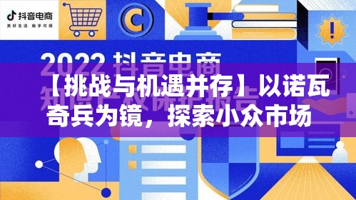 【挑战与机遇并存】以诺瓦奇兵为镜，探索小众市场的潜在利润及风险管理策略