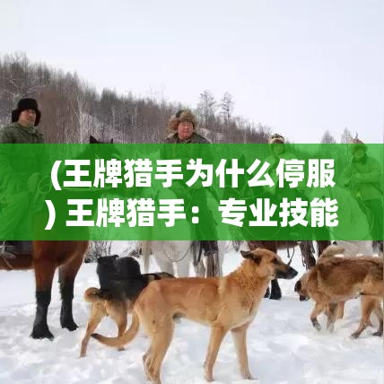 (王牌猎手为什么停服) 王牌猎手：专业技能与求生智慧，如何在激烈的狩猎竞争中脱颖而出